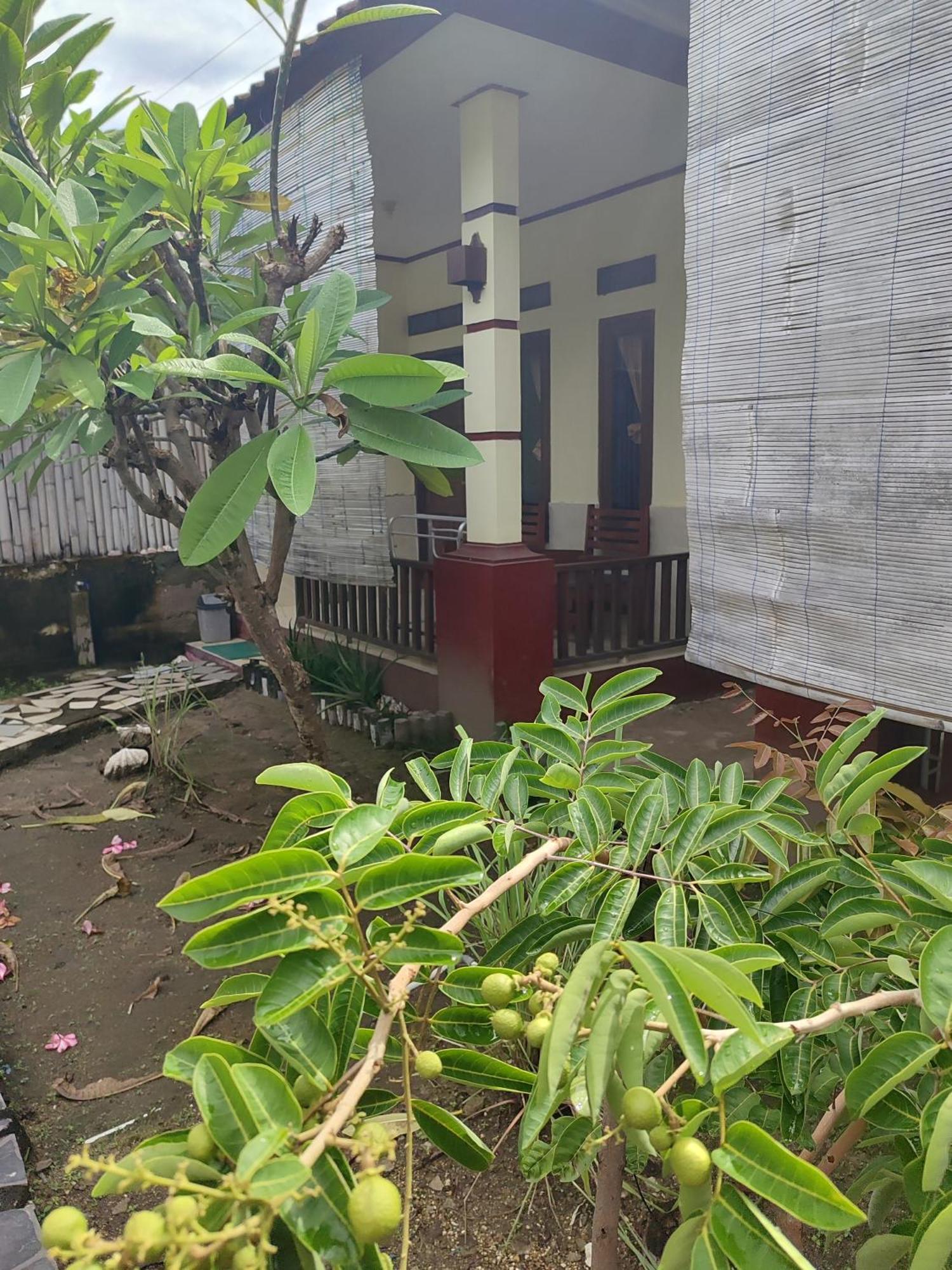 Family Bungalow Gili Meno Exterior foto